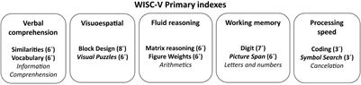 A Validated WISC-V Short-Form to Estimate Intellectual Functioning in Very Preterm Children at Early School Age